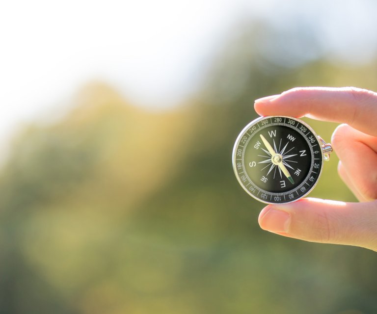 iqprojektgesellschaft